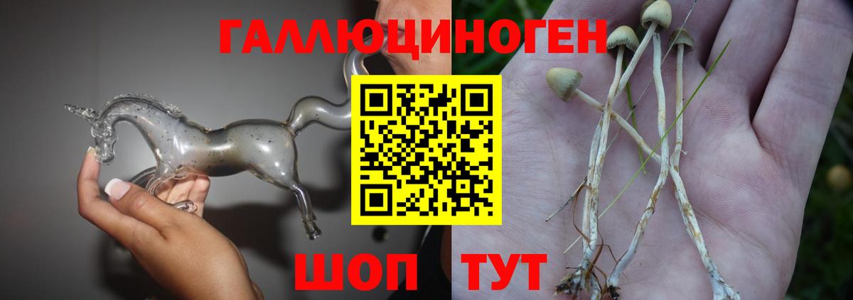 Псилоцибиновые грибы MAGIC MUSHROOMS  Вход с VPN  Златоуст 